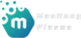 Shanghai Maohong Plasma Technology Co., Ltd.